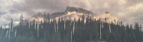 Stephan Balkenhol, Lake 2013